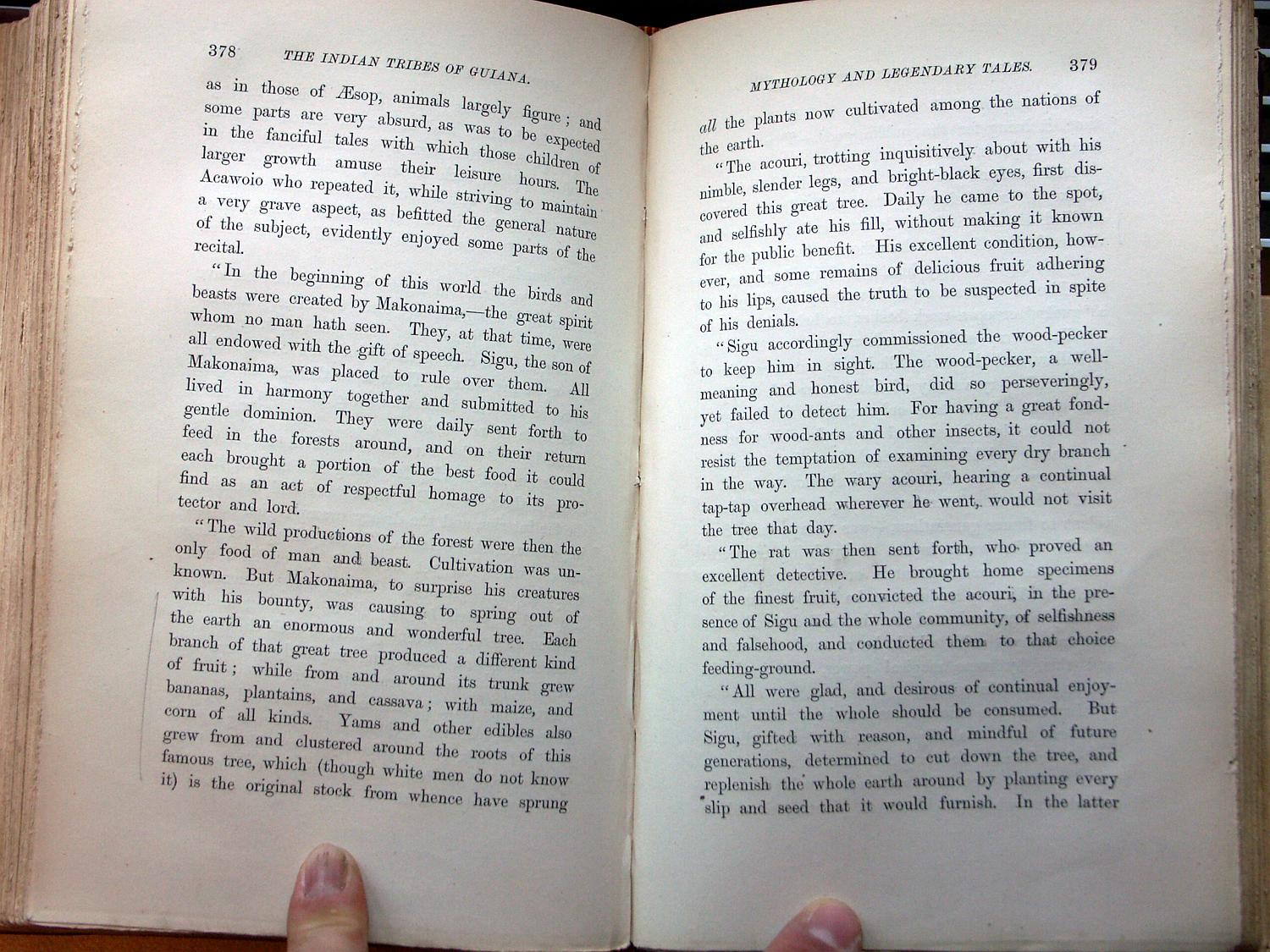 zz-bret68,s.378 acawaio schöpfungsmythos makonaima sigu wood-pecker-s